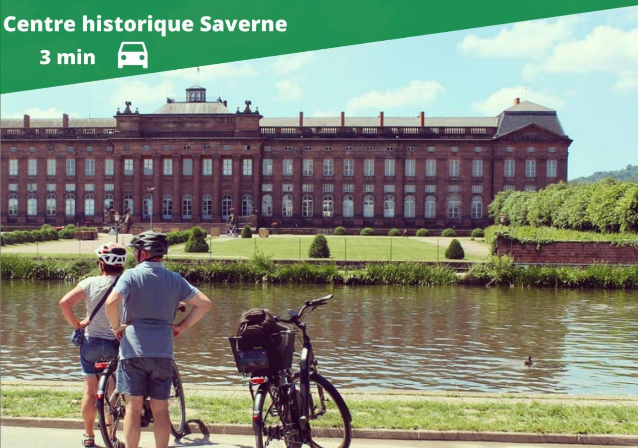 Auguste, La Romaine Et My Cesar - Location Saverne Exteriér fotografie